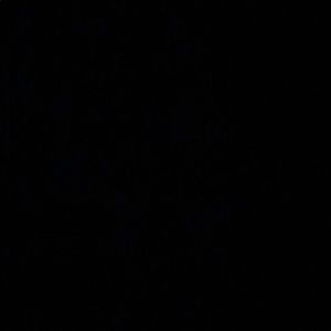 Meet your Posher, Camille